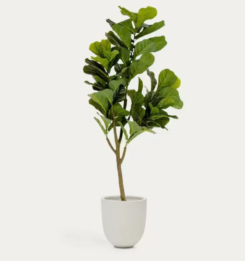 Artificial Fig Tree