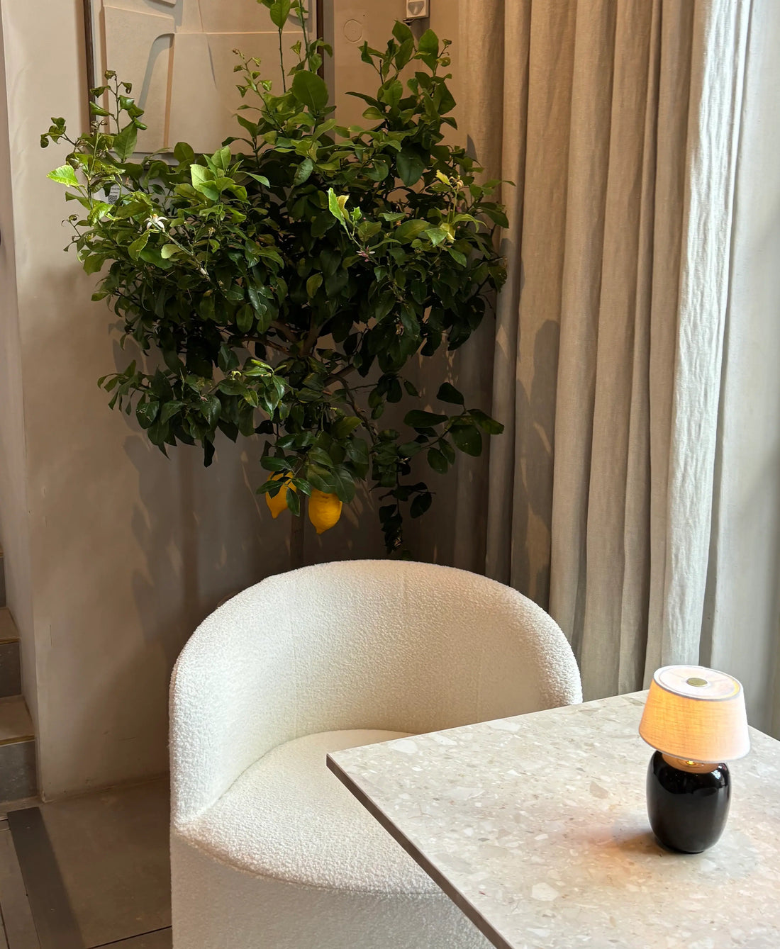 Scandi Inspired interior with a chair, table, and hanging plant.